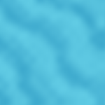 The what is going on in Roblox fun club!