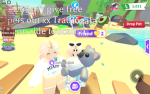 I love koalas group