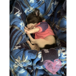 Chihuahuas and tacos