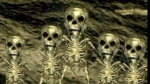 celcium crusaders