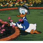 Ducky Squad! (anti bullying)