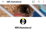 MR.HAMSTERUL