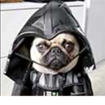 JUST JOIN YOU PUG !!!!!