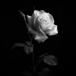 !recovery