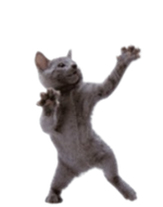 Funni Cato Buddy  preview 2