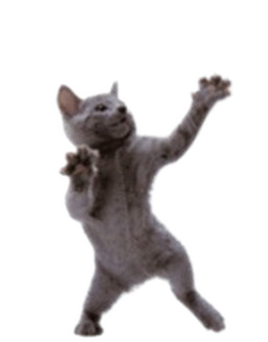 Funni Cato Buddy  preview 2