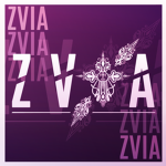 Zervia Company Gamer