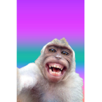BABY_SHREK02822