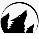 -Foxes Land-