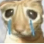 Lllba