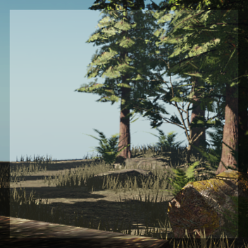 forest testing