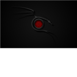 Black Dragons (B.D)