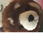 Pandas are kool