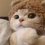 - 헤이 그룹 -
