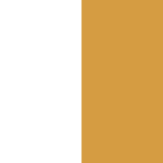 White & Gold Vessels