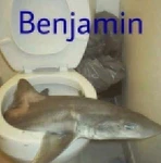 Group Thumbnail