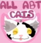 About cats