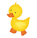 Duckiz Nation