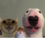 Mr Epic Gamer Squad