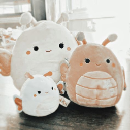 starry hangout! ⭐️