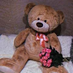 T3DDY B3AR <3
