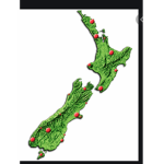 NZ group