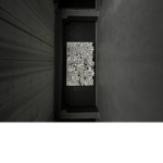 Hex.1