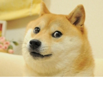 THE LENGANDARY DOGEZ