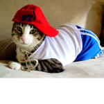 Swag catz