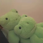 Dᴀɪʟʏ ꜰʀᴏɢs!