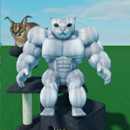 Fidi Simulator