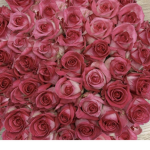 Roses are unicorns
