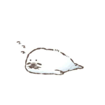 Squid's RNG