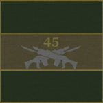 Fasadian 45th Infantry Regiment