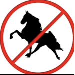 Wild horse island ………………