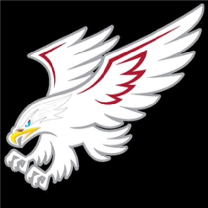 white hawk Roblox decal