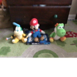 The mario place