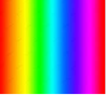 The Rainbow Rookies