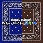 504 Family / Hondu Jets / Hondu Bloods