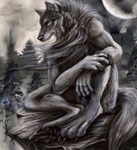 Xxstarwolf23