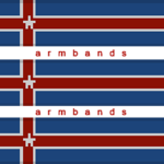 Íslenskir Vasilyistar