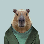 creator cabybara