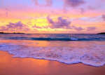 HEARTS4SUNSETS
