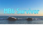 MB6 Survivor All Stars Short terms