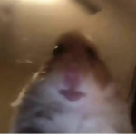 Verified Steppin’
