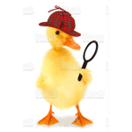 Detective Duck Army