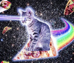 Catsasukefeins22