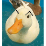 Luciisita