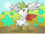 ShayMin Crazy
