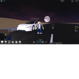 ROBLOX PLS ROBLOX